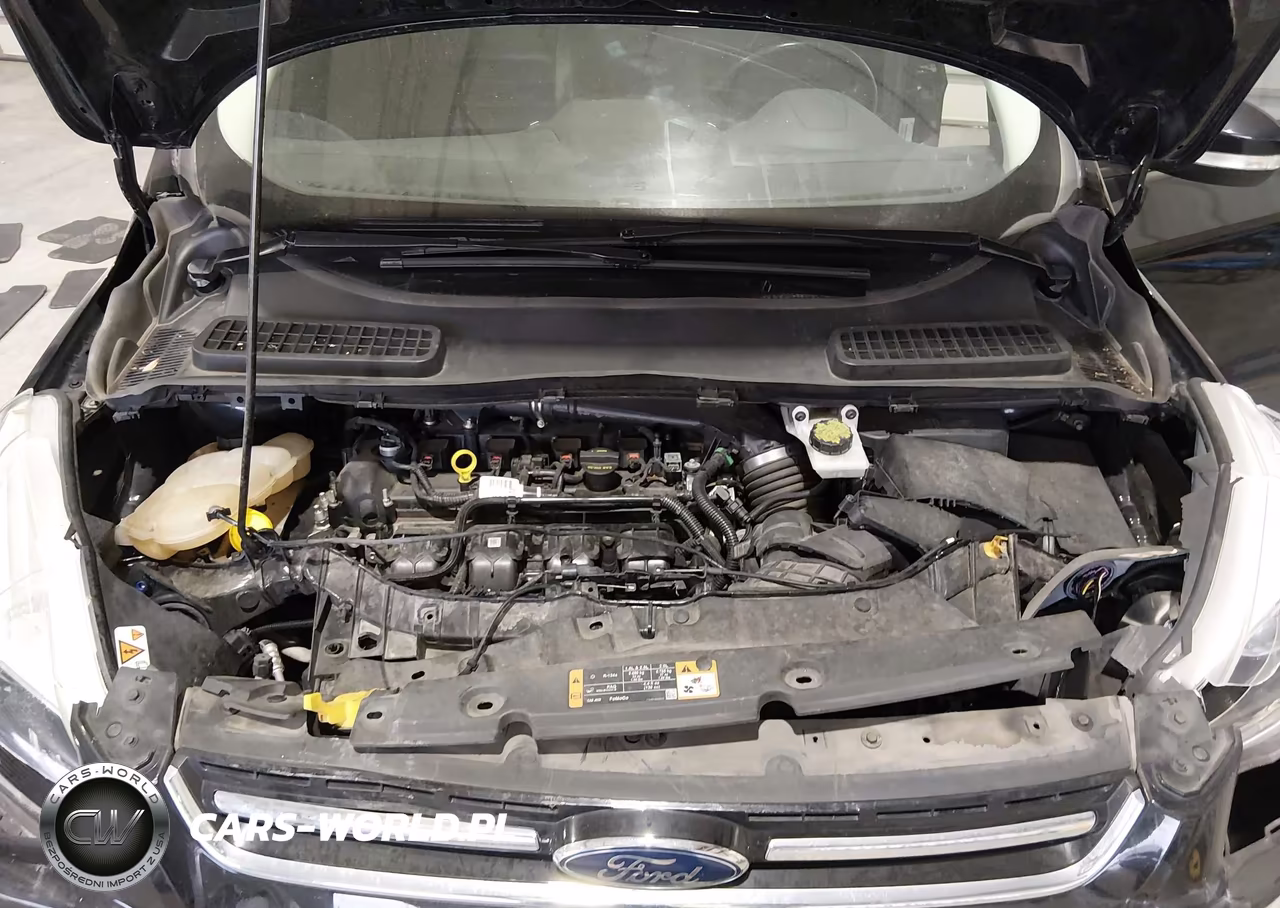 2016 Ford Escape Titanium VIN:1FMCU9J98GUB30884 - 10