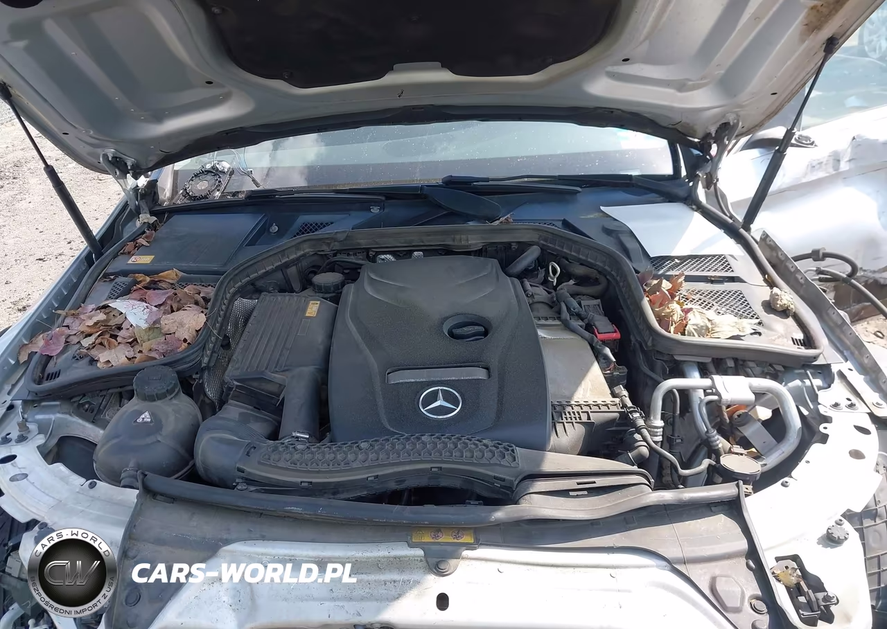 2015 Mercedes-Benz C 300 4Matic VIN:55SWF4KB5FU004620 - 10