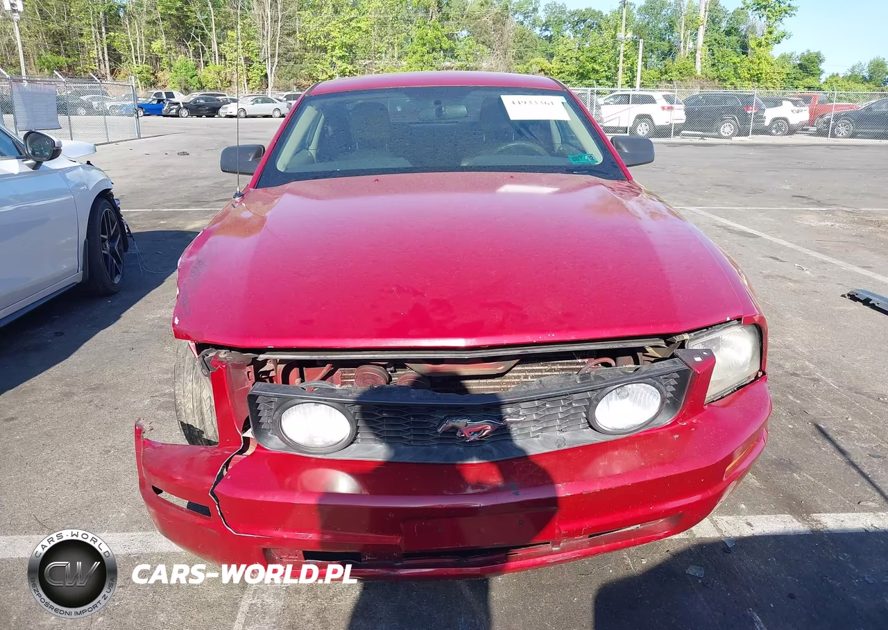 2005 Ford Mustang V6 Deluxe-V6 Premium VIN:1ZVFT80N455125487 - 13