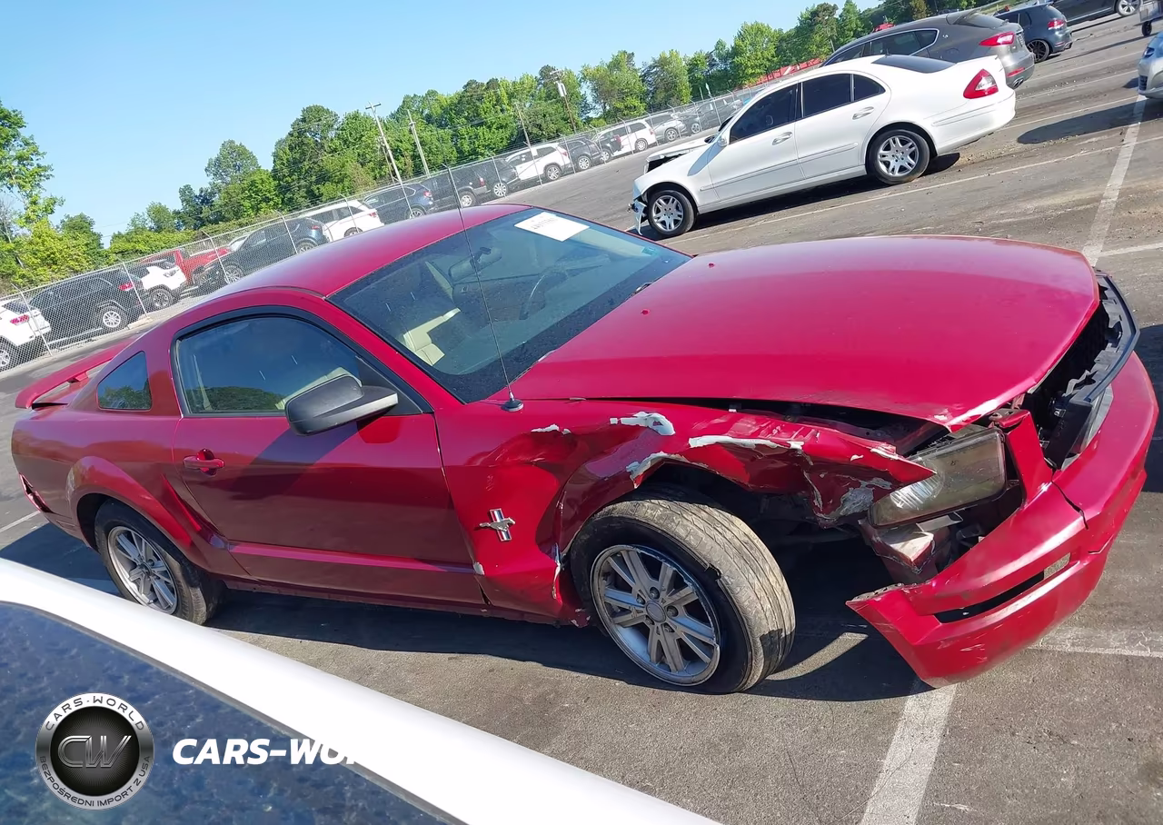 2005 Ford Mustang V6 Deluxe-V6 Premium VIN:1ZVFT80N455125487 - 14