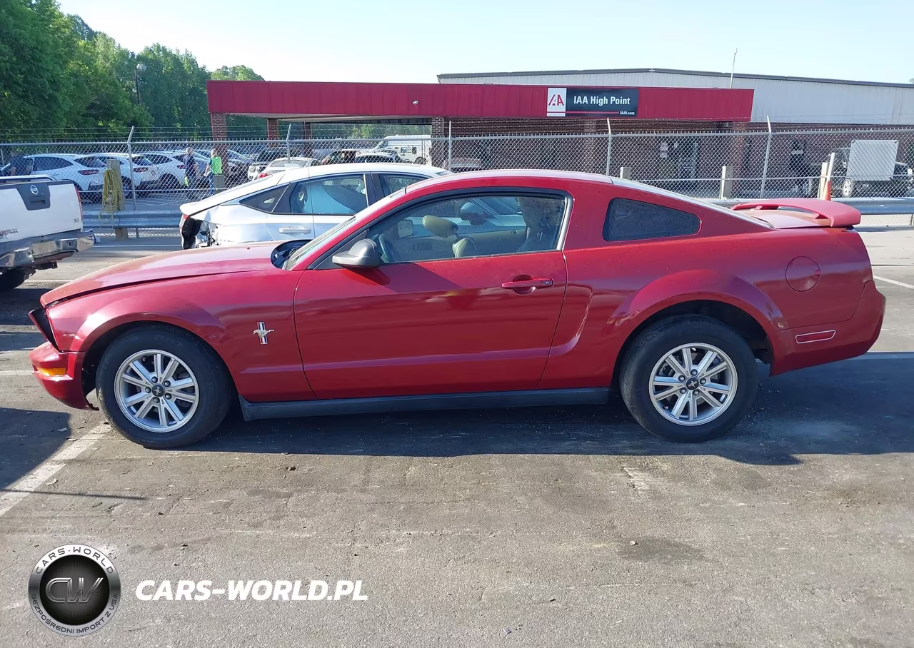 2005 Ford Mustang V6 Deluxe-V6 Premium VIN:1ZVFT80N455125487 - 15