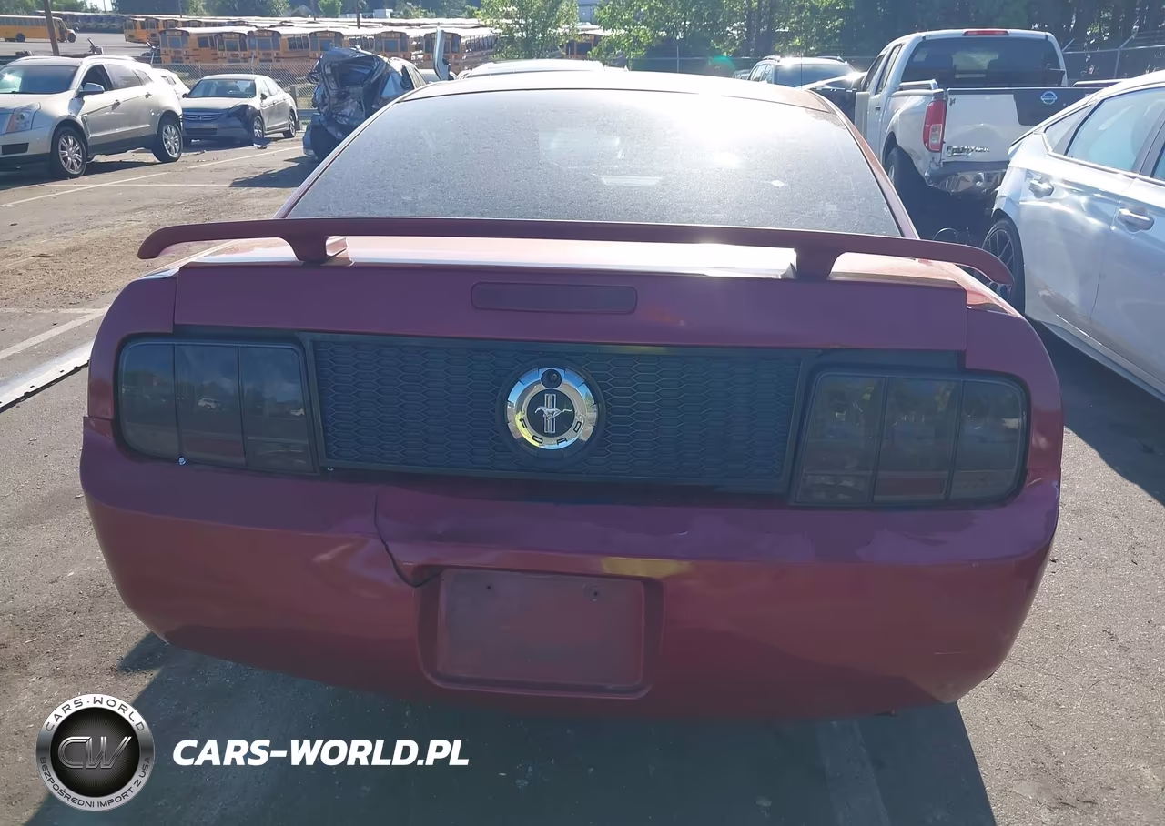 2005 Ford Mustang V6 Deluxe-V6 Premium VIN:1ZVFT80N455125487 - 17