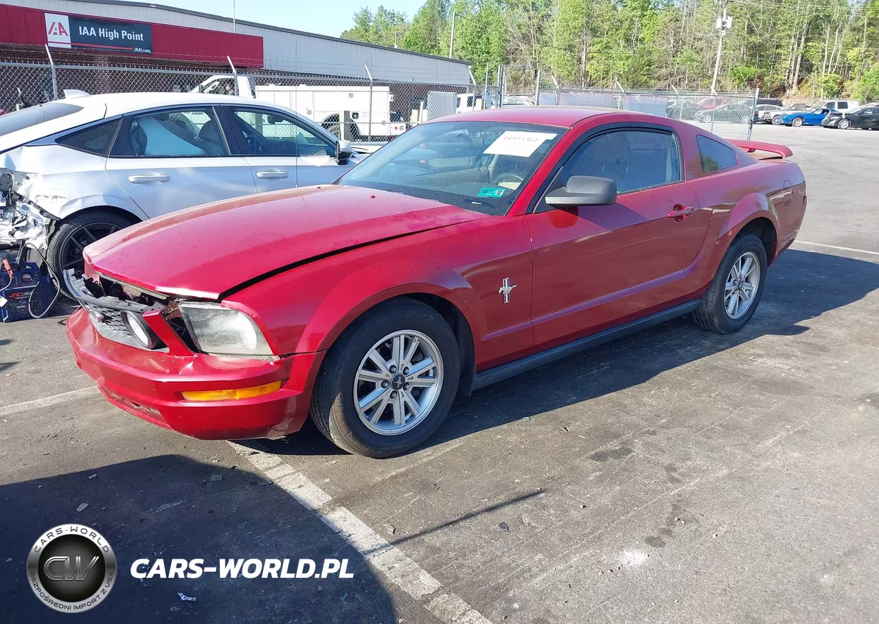 2005 Ford Mustang V6 Deluxe-V6 Premium VIN:1ZVFT80N455125487 - 2