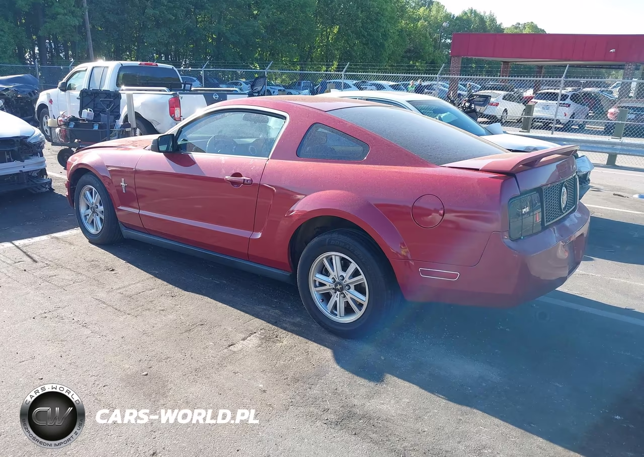 2005 Ford Mustang V6 Deluxe-V6 Premium VIN:1ZVFT80N455125487 - 3
