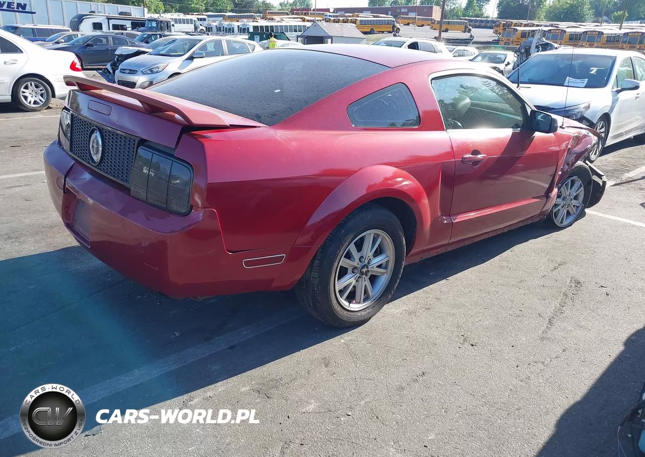 2005 Ford Mustang V6 Deluxe-V6 Premium VIN:1ZVFT80N455125487 - 4