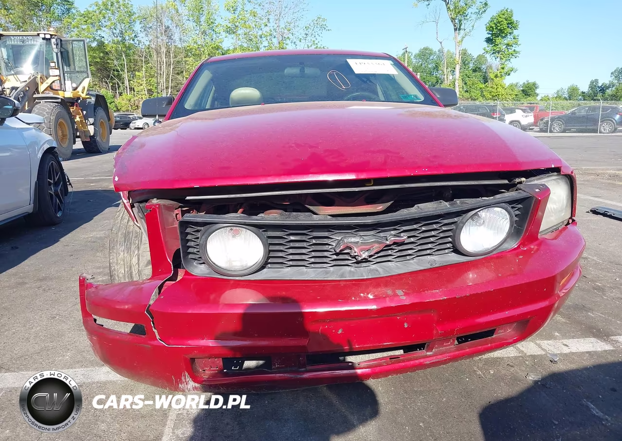 2005 Ford Mustang V6 Deluxe-V6 Premium VIN:1ZVFT80N455125487 - 6