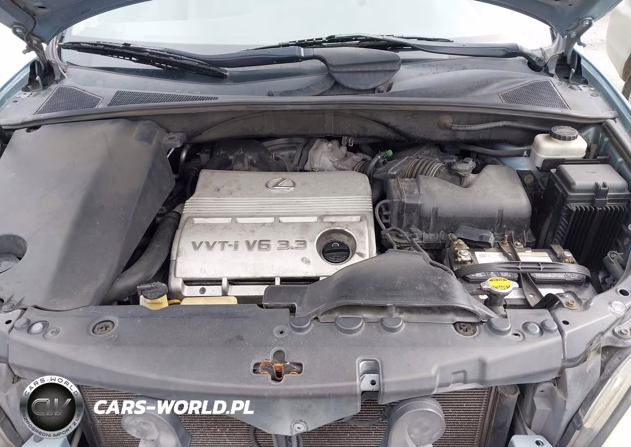 2005 Lexus Rx 330 VIN:2T2HA31U45C084755 - 10