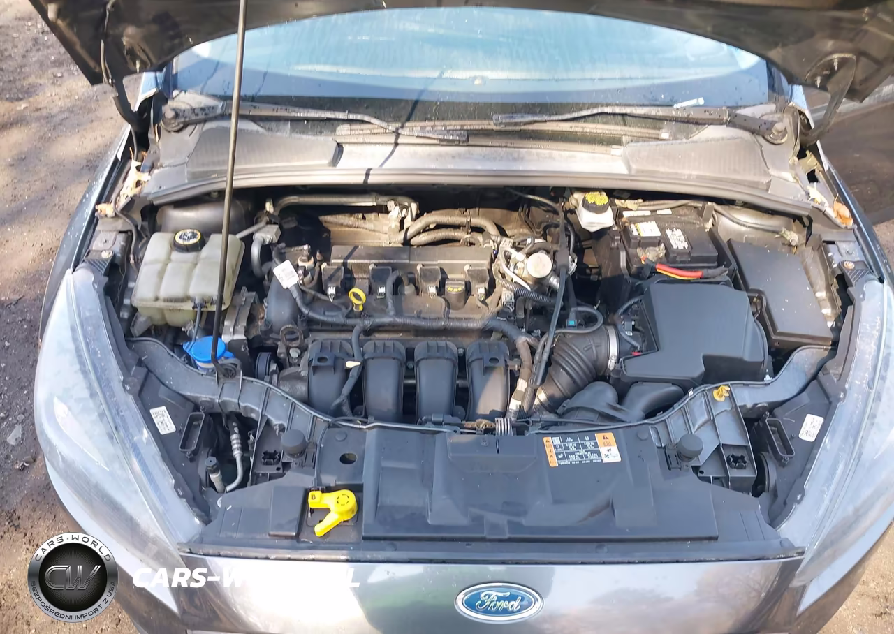 2017 Ford Focus Sel VIN:1FADP3H23HL330607 - 10