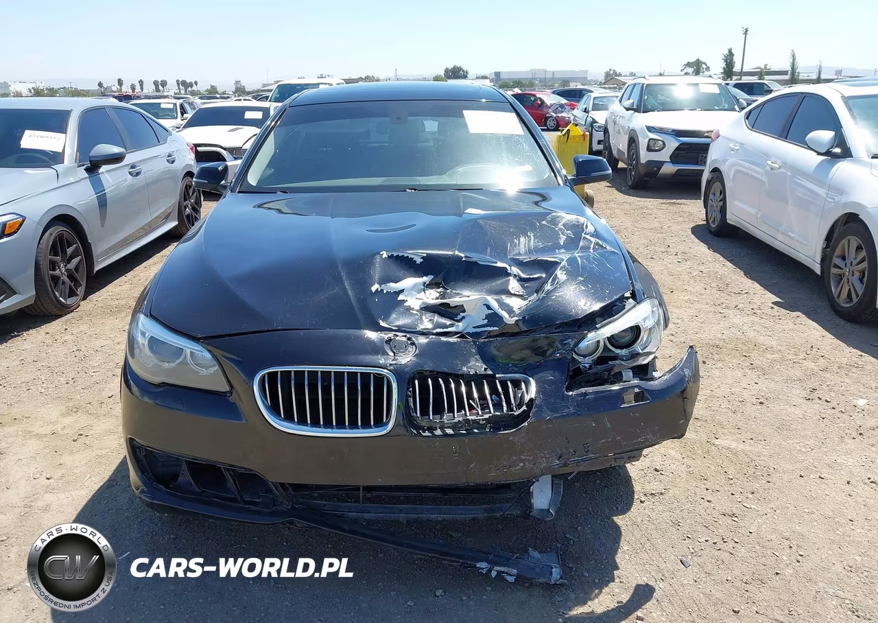 2014 BMW 528I VIN:WBA5A5C53ED502411 - 12