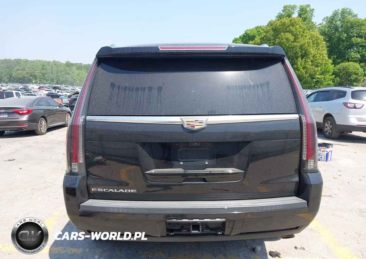 2018 Cadillac Escalade Luxury VIN:1GYS4BKJ0JR371584 - 16