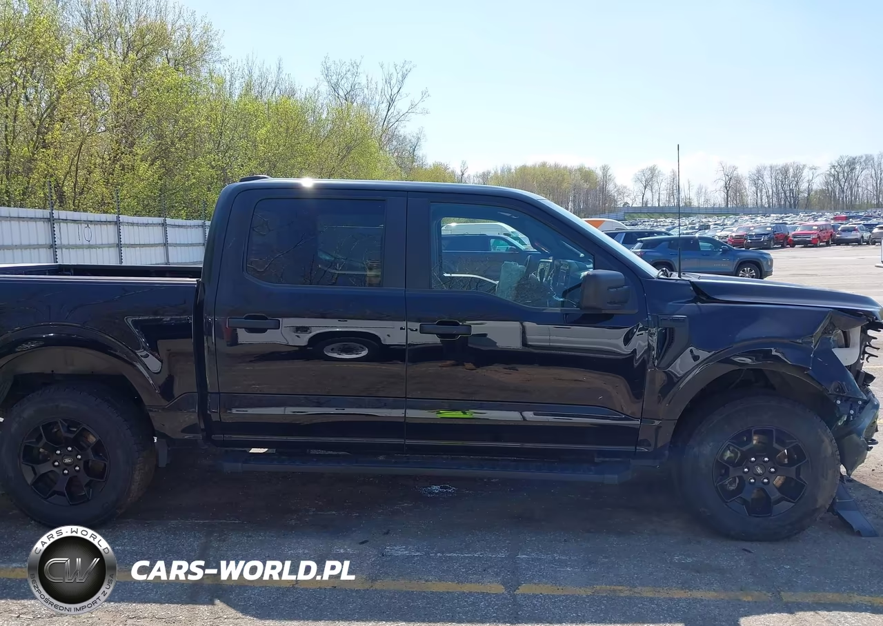 2024 Ford F-150 Stx VIN:1FTEW2LP7RFB50187 - 13