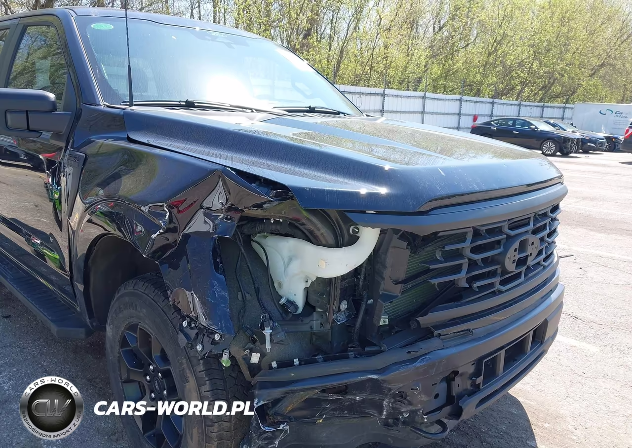 2024 Ford F-150 Stx VIN:1FTEW2LP7RFB50187 - 6