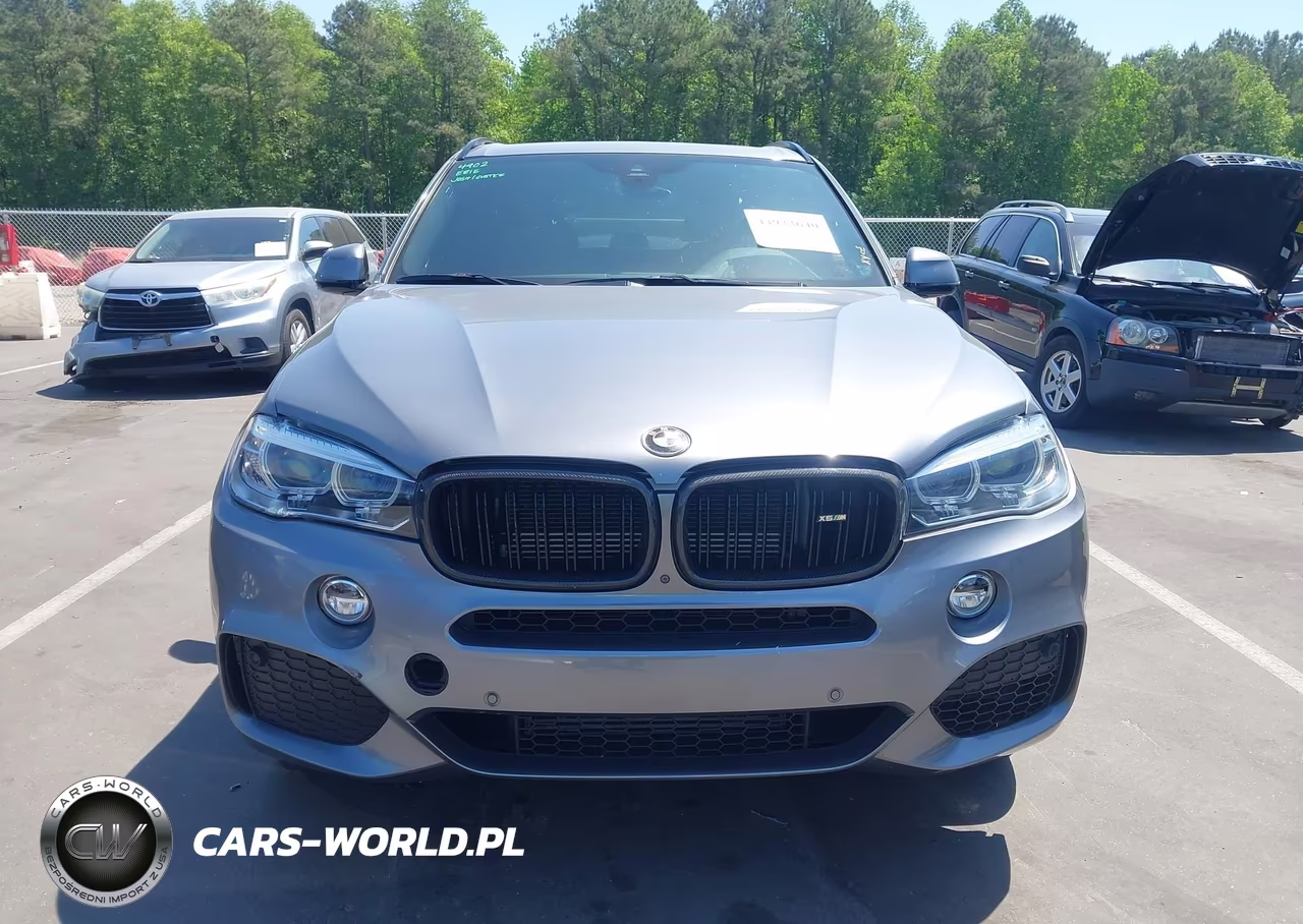 2018 BMW X5 Edrive xDrive40E Iperformance VIN:5UXKT0C53J0W01281 - 13