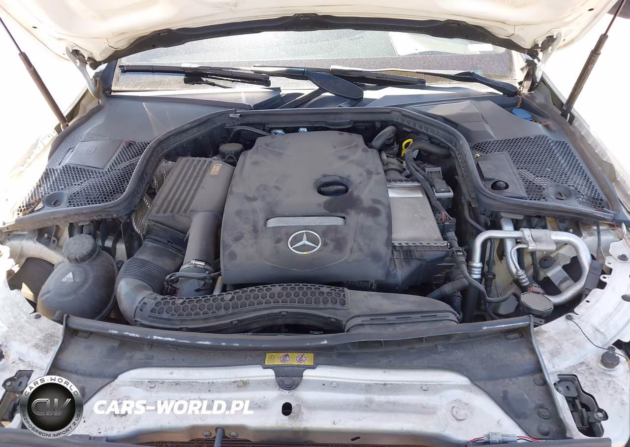 2017 Mercedes-Benz C 300 4Matic VIN:55SWF4KB3HU196980 - 10