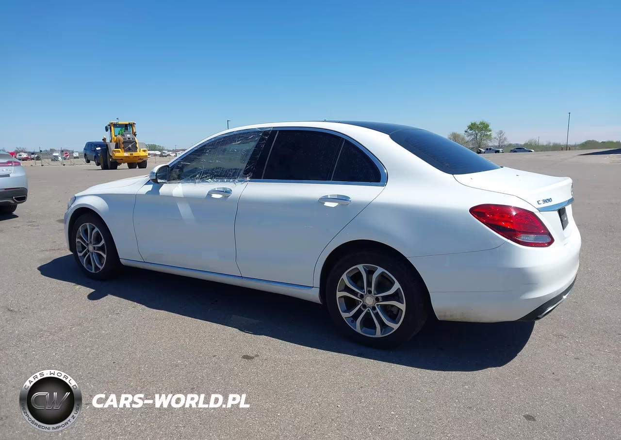 2017 Mercedes-Benz C 300 4Matic VIN:55SWF4KB3HU196980 - 12