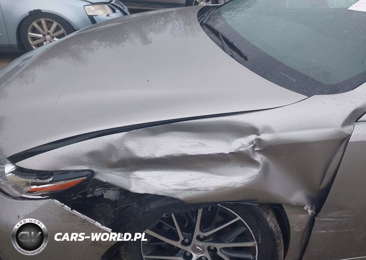 2017 Lexus Es 350 VIN:58ABK1GG9HU065532 - 19