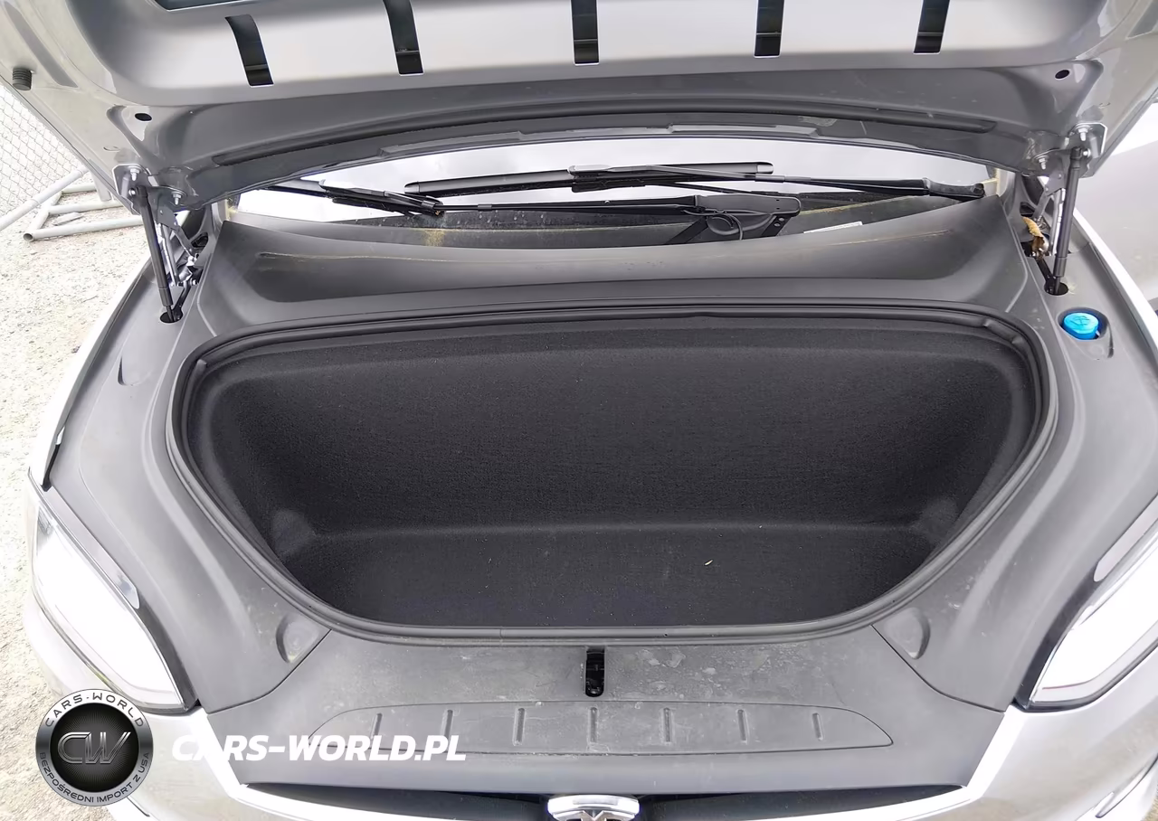2017 Tesla Model X 100D-75D-90D VIN:5YJXCBE29HF051344 - 10