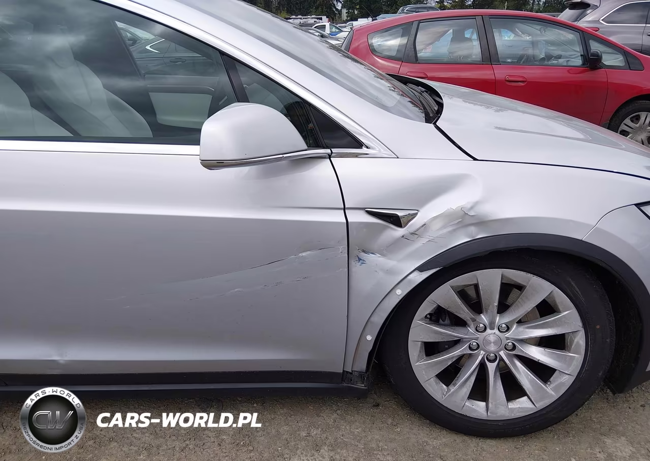 2017 Tesla Model X 100D-75D-90D VIN:5YJXCBE29HF051344 - 6
