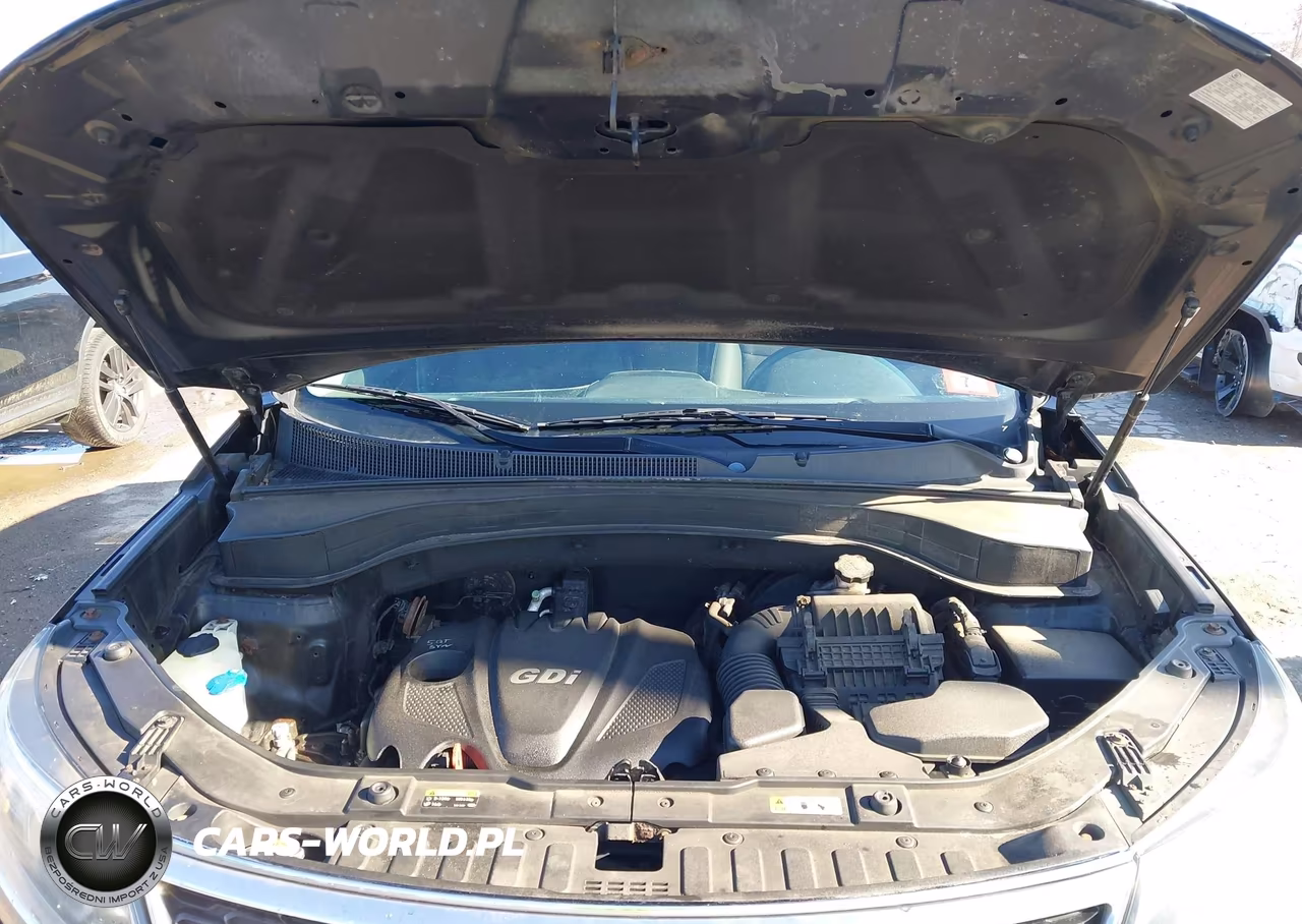 2014 Kia Sorento Lx VIN:5XYKTCA67EG436110 - 10