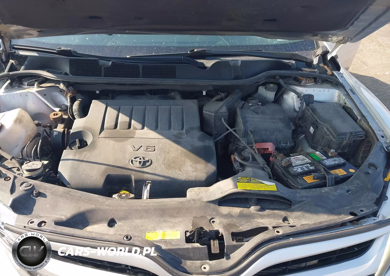 2014 Toyota Venza Limited V6 VIN:4T3BK3BB0EU102811 - 10