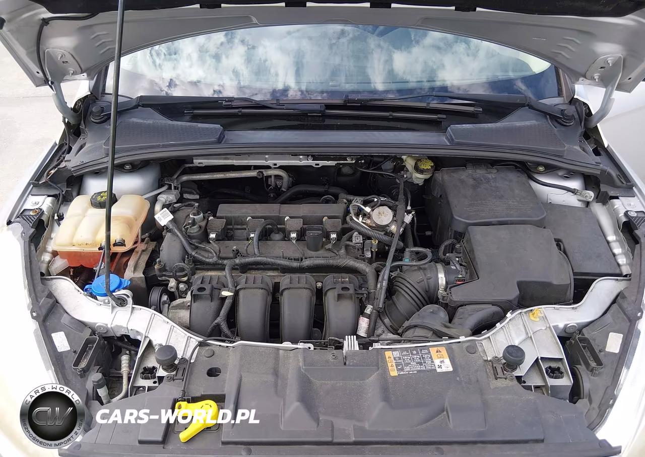 2016 Ford Focus Se VIN:1FADP3F29GL341001 - 10