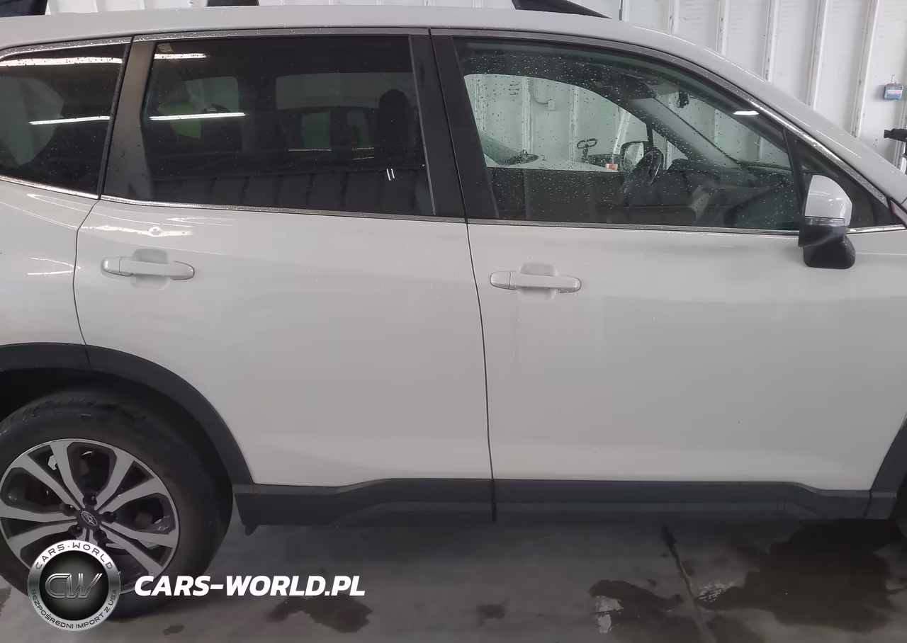 2019 Subaru Forester Limited VIN:JF2SKASC6KH483144 - 13