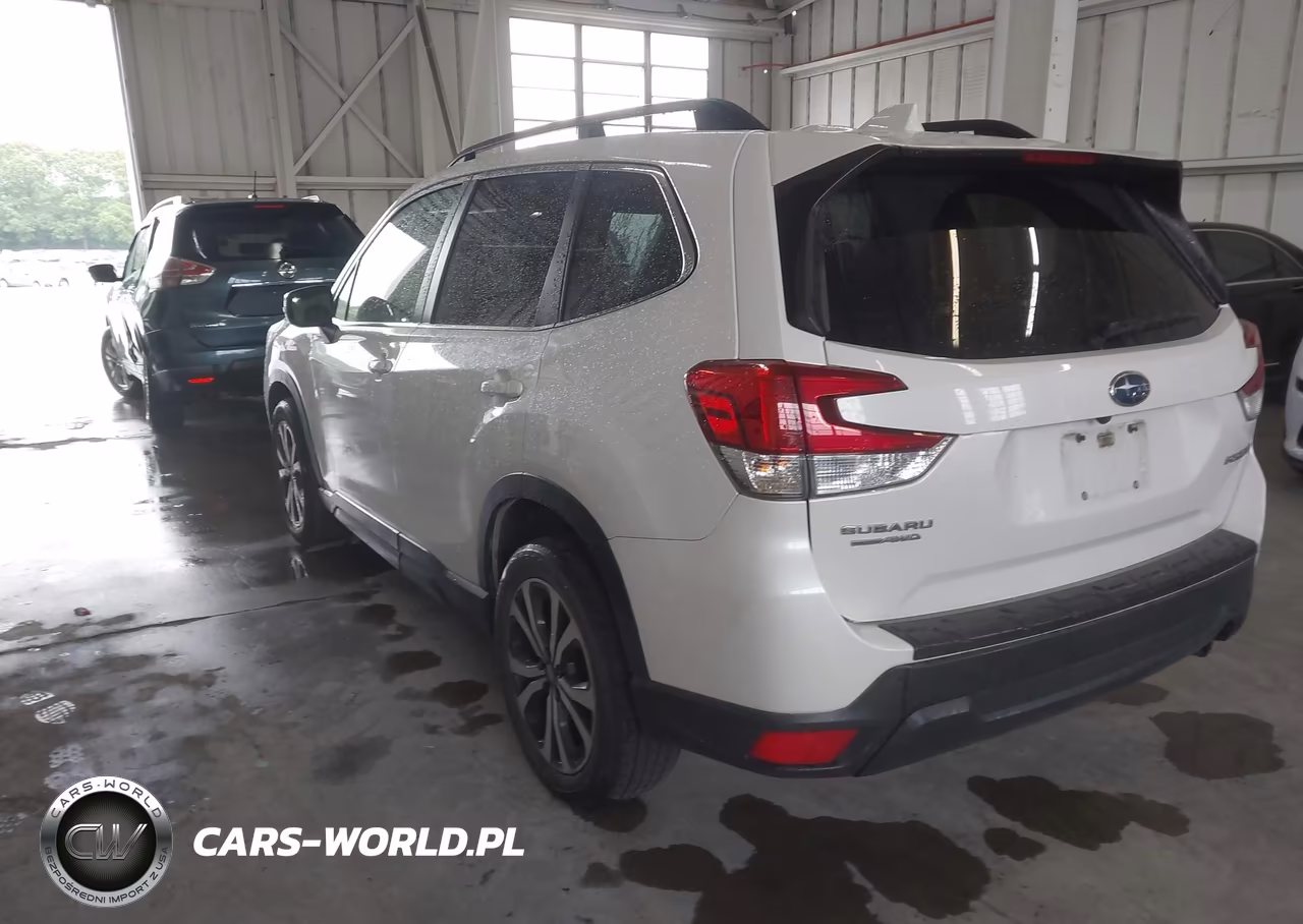 2019 Subaru Forester Limited VIN:JF2SKASC6KH483144 - 3