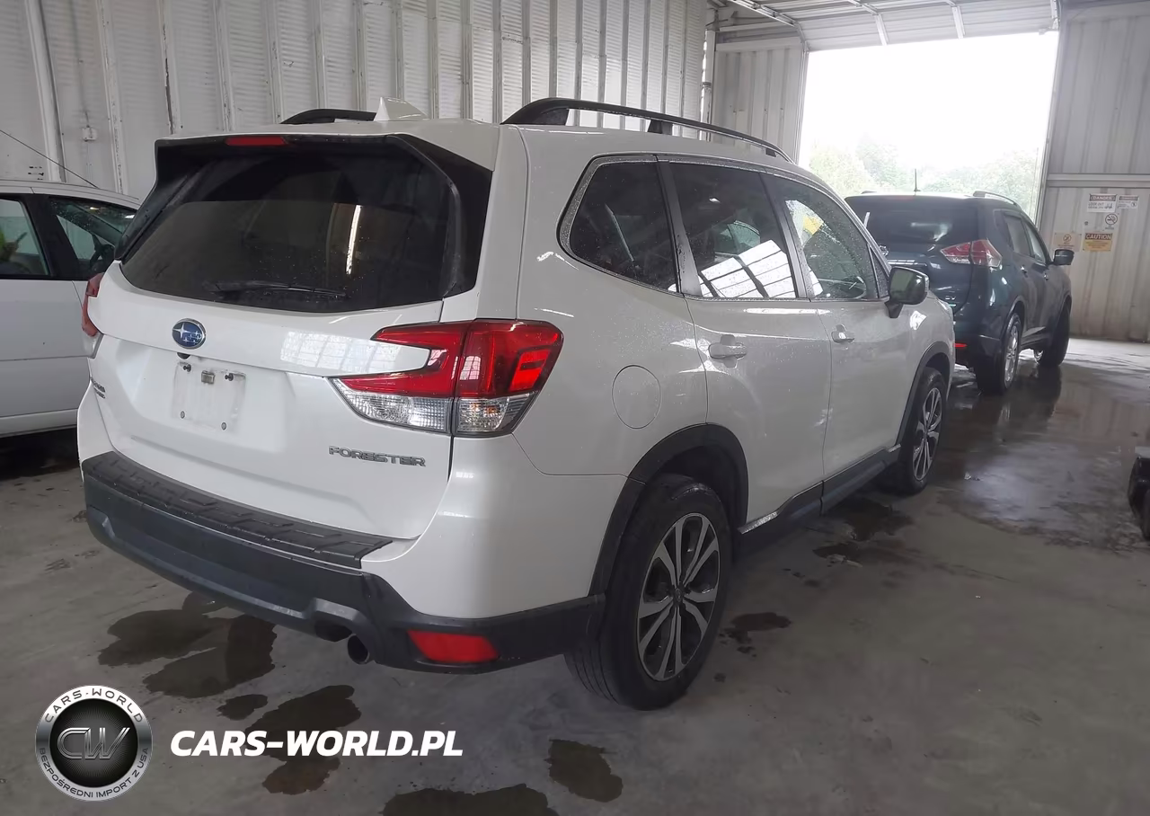 2019 Subaru Forester Limited VIN:JF2SKASC6KH483144 - 4