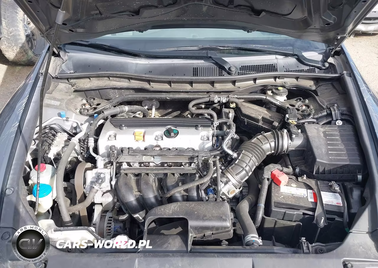 2010 Honda Accord 2.4 Ex VIN:1HGCP2F74AA052849 - 10