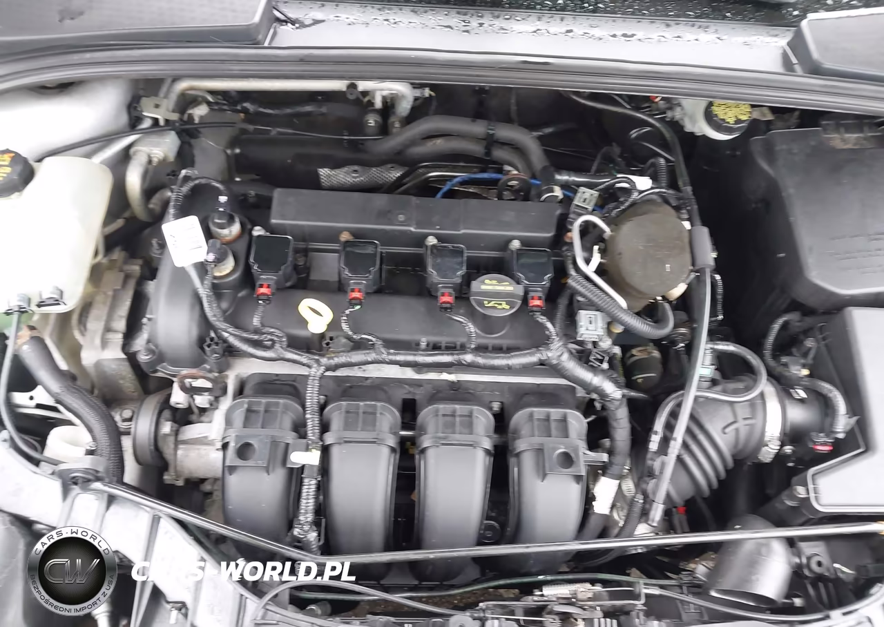 2014 Ford Focus Se VIN:1FADP3F21EL307423 - 10