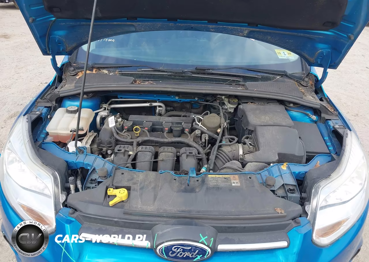 2013 Ford Focus Se VIN:1FADP3F22DL216269 - 10