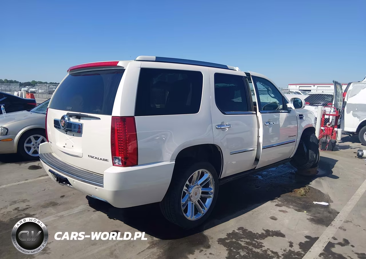 2013 Cadillac Escalade Platinum Edition VIN:1GYS4DEFXDR250570 - 4