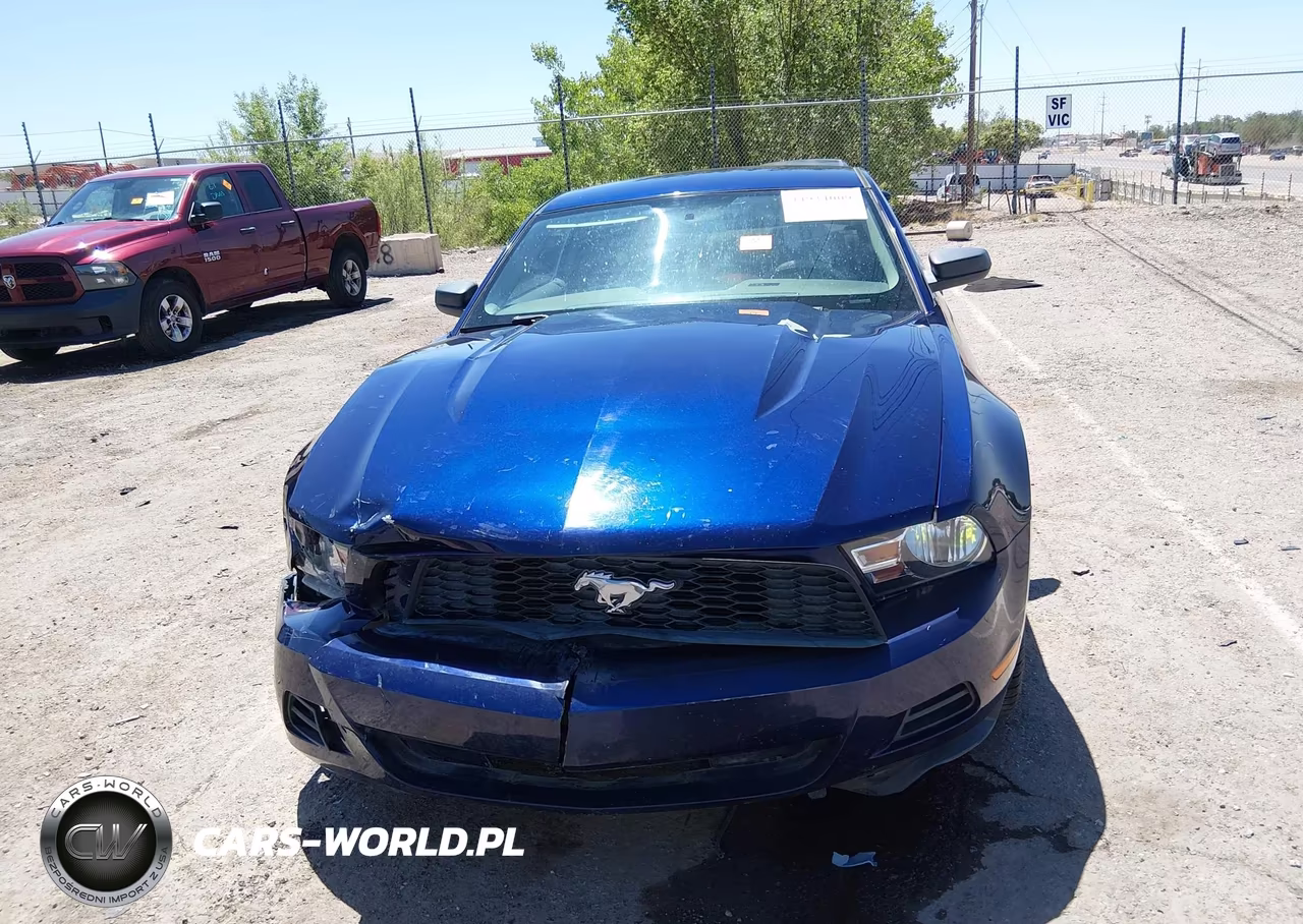 2010 Ford Mustang V6-V6 Premium VIN:1ZVBP8AN8A5134284 - 12