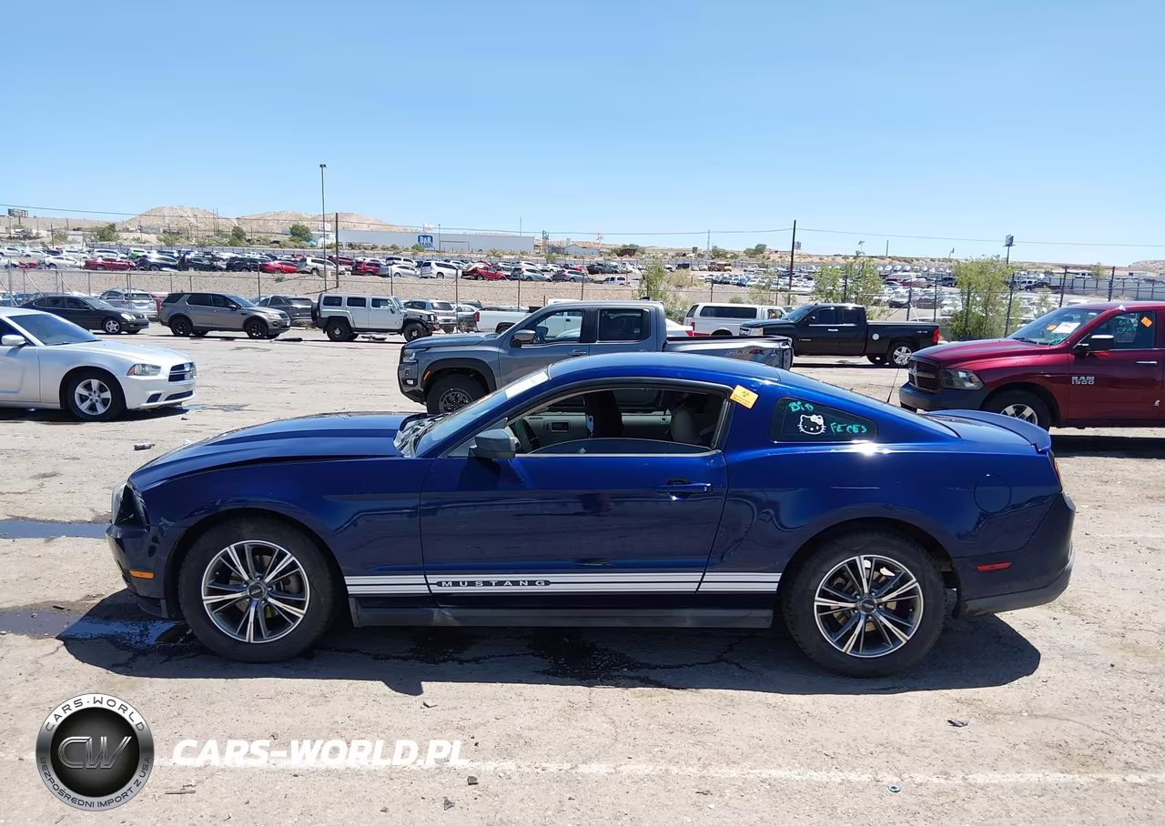 2010 Ford Mustang V6-V6 Premium VIN:1ZVBP8AN8A5134284 - 14