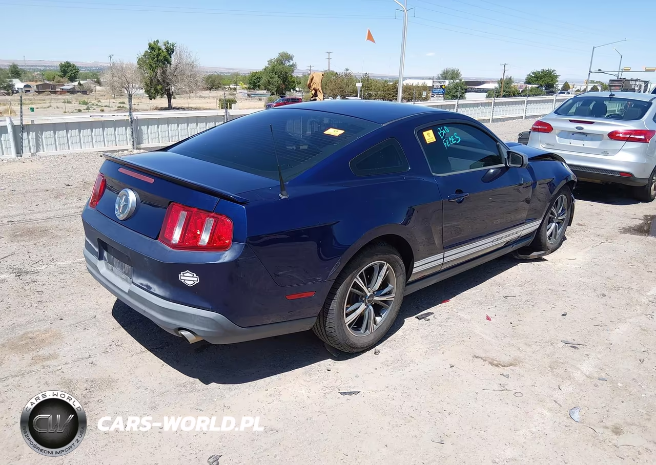 2010 Ford Mustang V6-V6 Premium VIN:1ZVBP8AN8A5134284 - 4