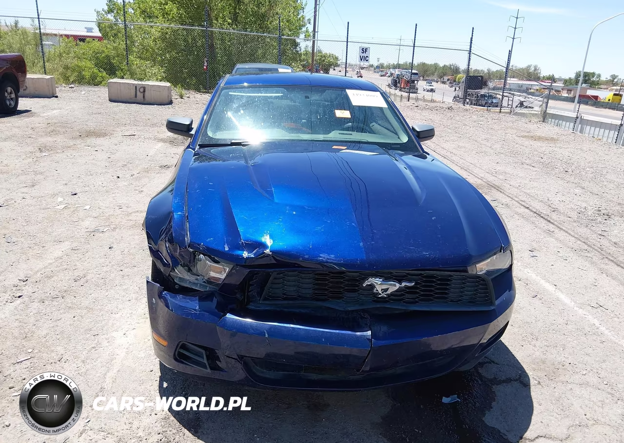 2010 Ford Mustang V6-V6 Premium VIN:1ZVBP8AN8A5134284 - 6