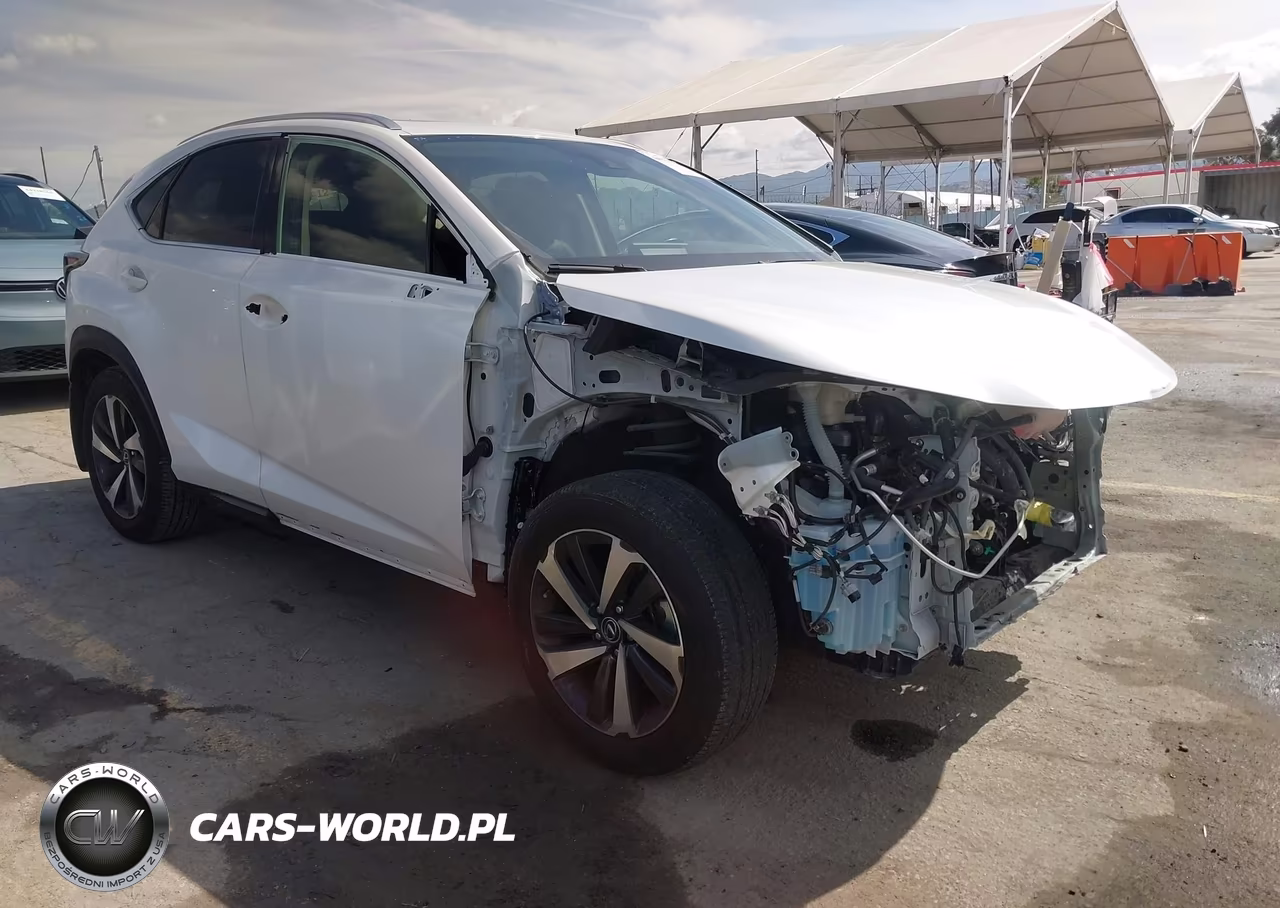 2021 Lexus Nx 300