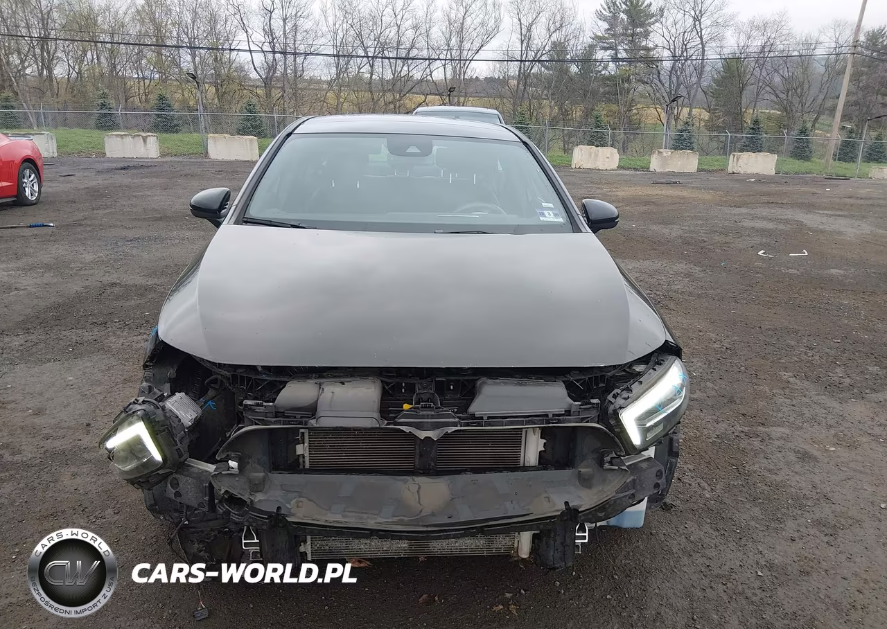 2019 Mercedes-Benz A 220 4Matic VIN:WDD3G4FB4KW023442 - 12
