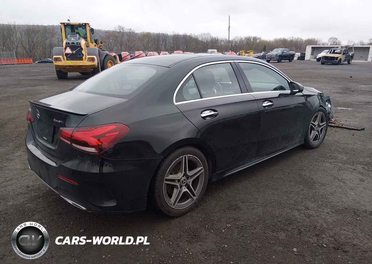 2019 Mercedes-Benz A 220 4Matic VIN:WDD3G4FB4KW023442 - 4