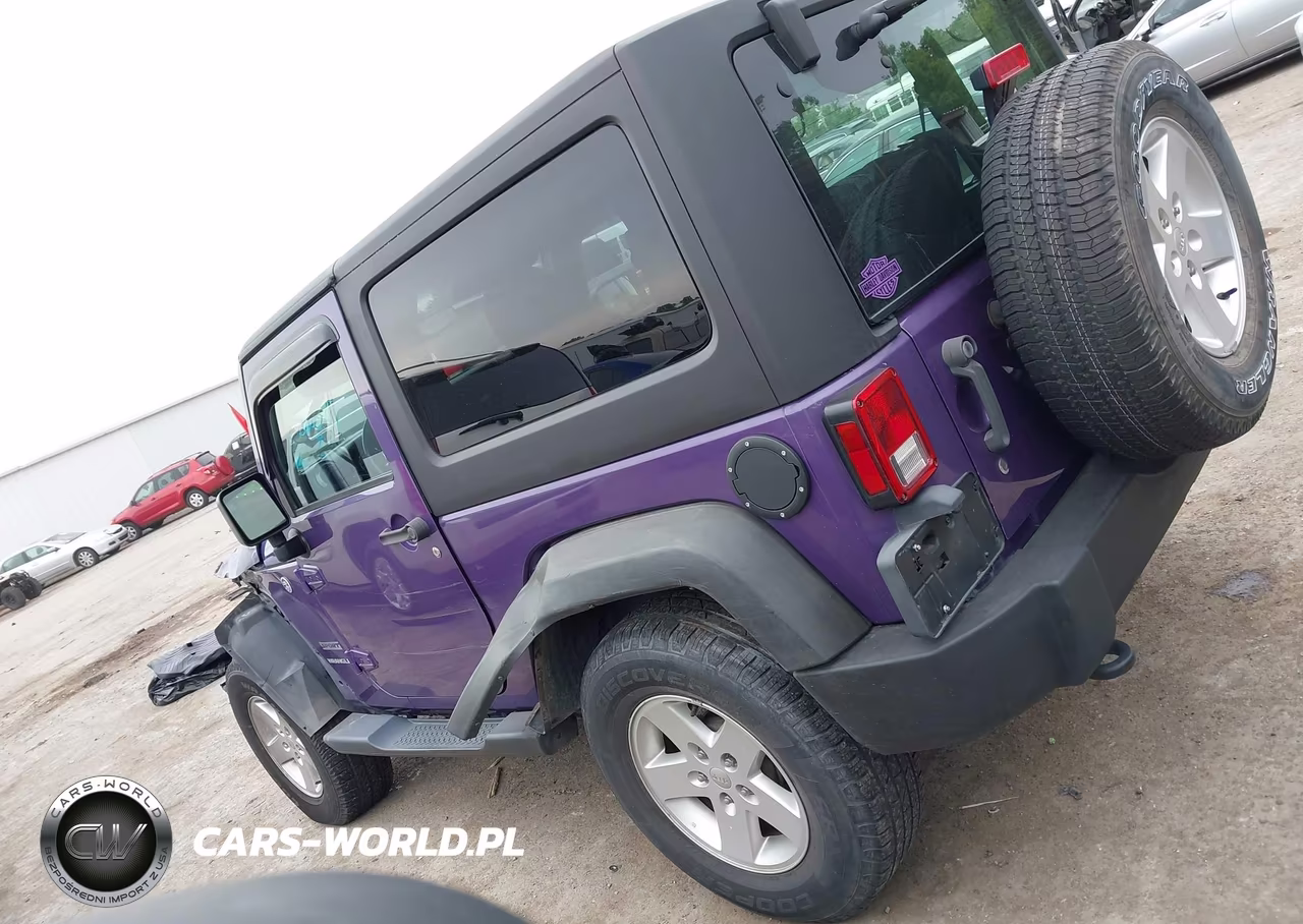 2017 Jeep Wrangler Sport 4X4 VIN:1C4AJWAG5HL595891 - 14