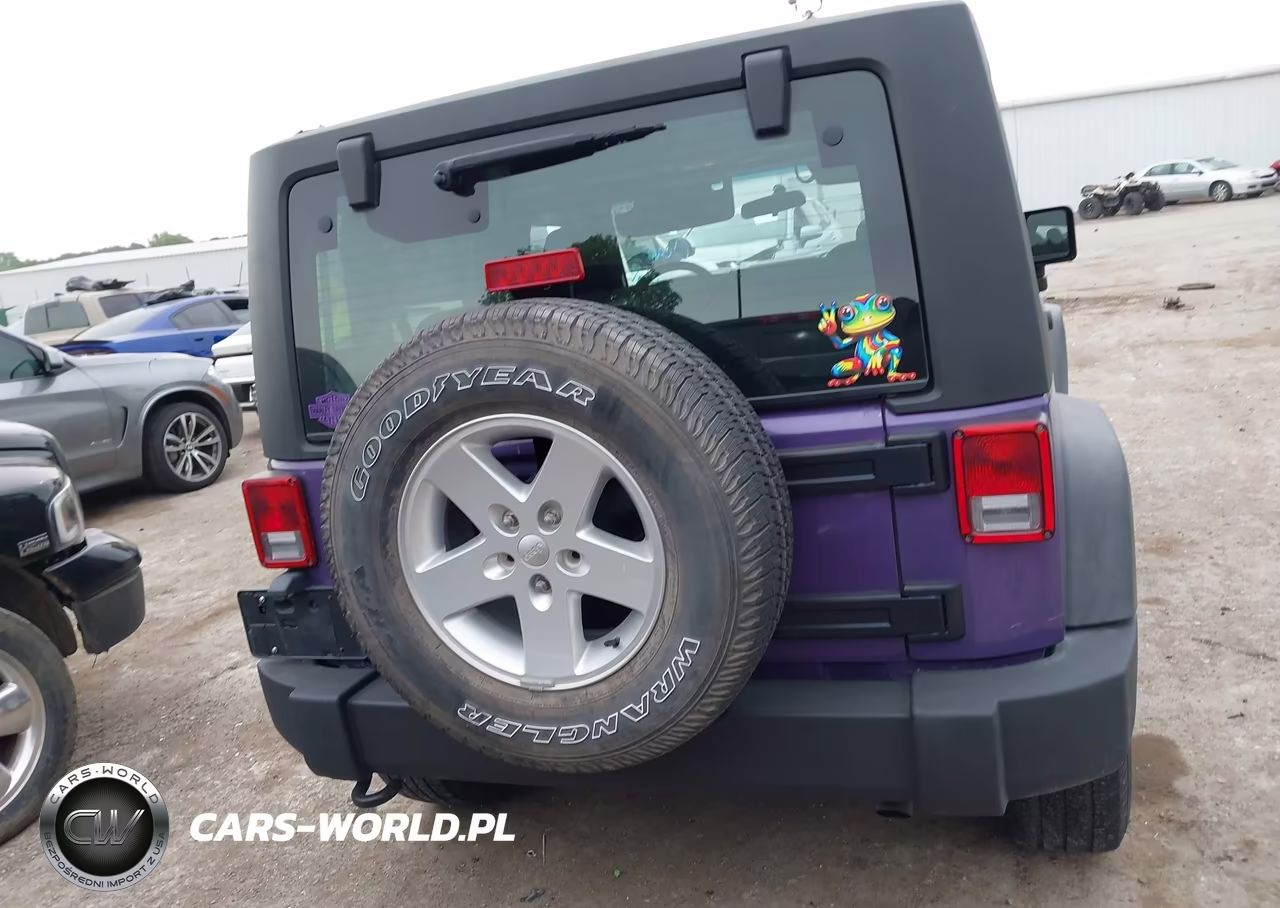 2017 Jeep Wrangler Sport 4X4 VIN:1C4AJWAG5HL595891 - 16