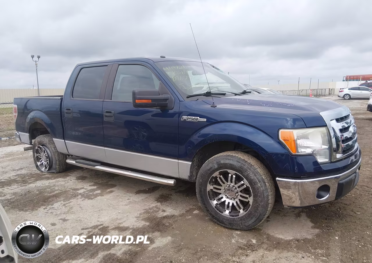 2010 Ford F-150 Fx2 Sport-Harley-Davidson-King Ranch-Lariat-Platinum-Xl-Xlt VIN:1FTFW1CV3AFD96770 - 13