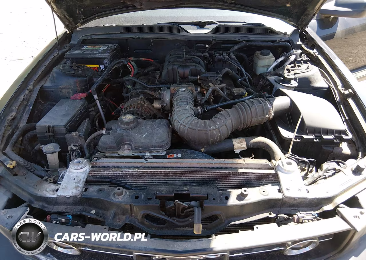 2006 Ford Mustang V6 VIN:1ZVFT80N465154618 - 10