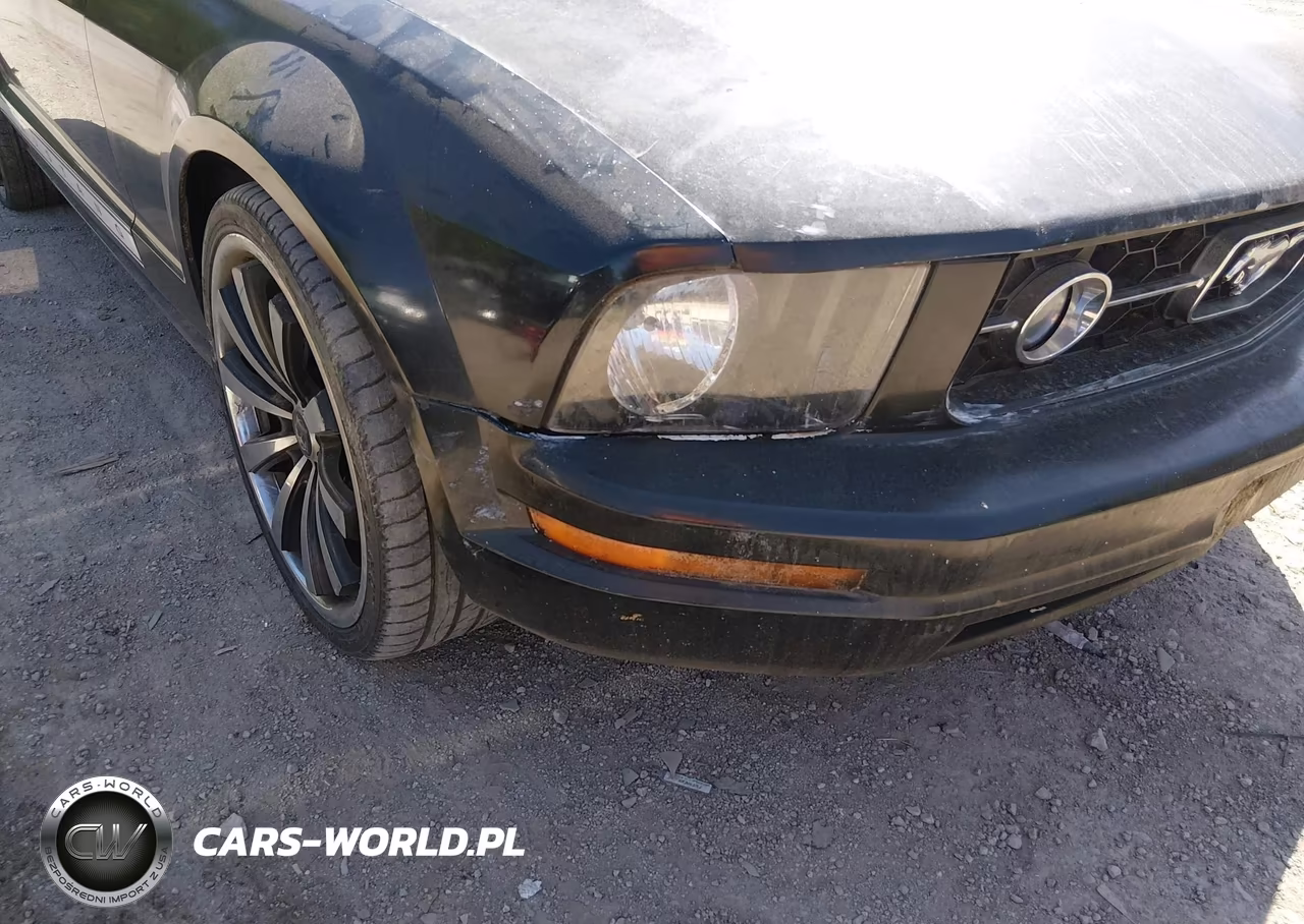2006 Ford Mustang V6 VIN:1ZVFT80N465154618 - 13