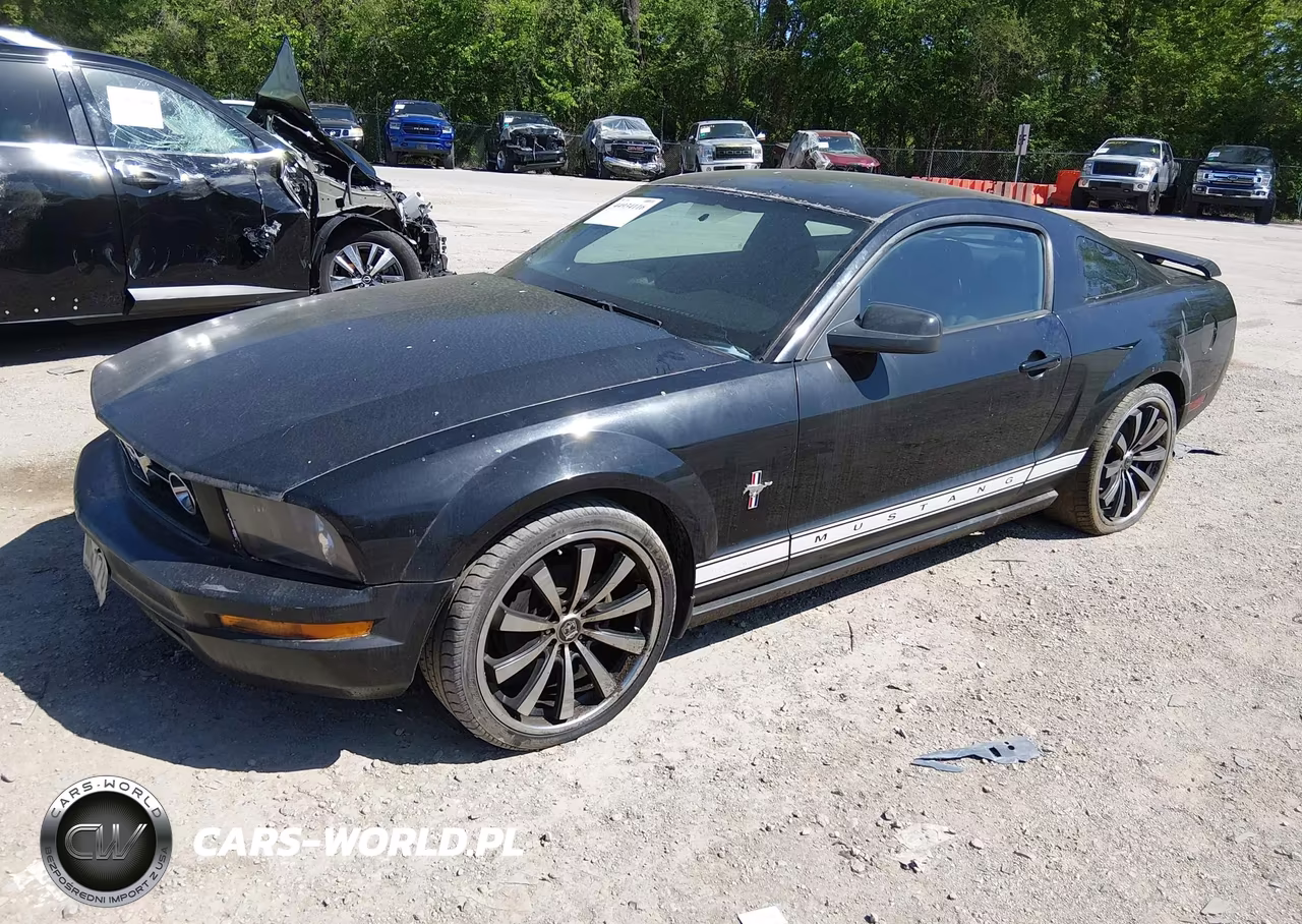 2006 Ford Mustang V6 VIN:1ZVFT80N465154618 - 2