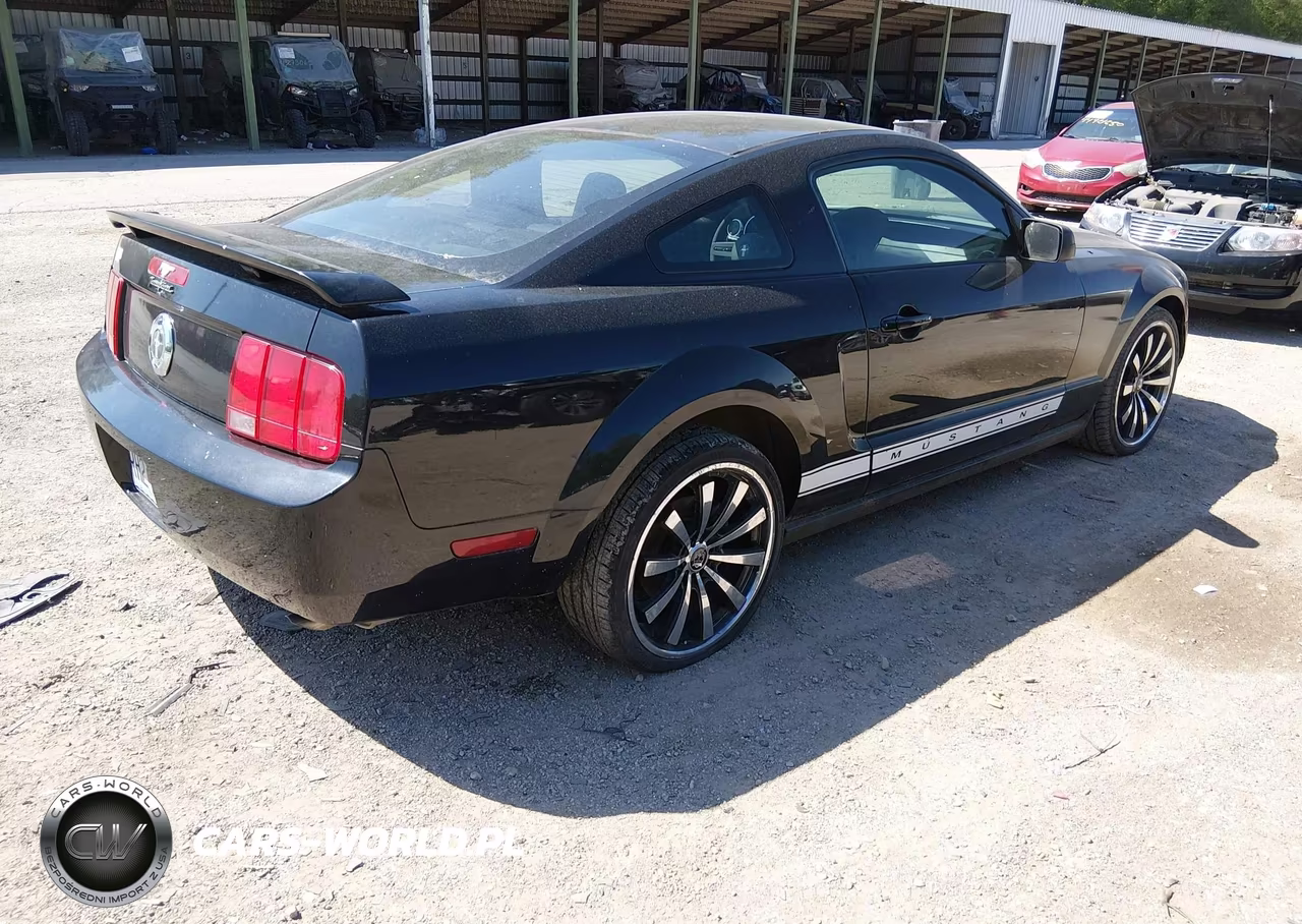 2006 Ford Mustang V6 VIN:1ZVFT80N465154618 - 4