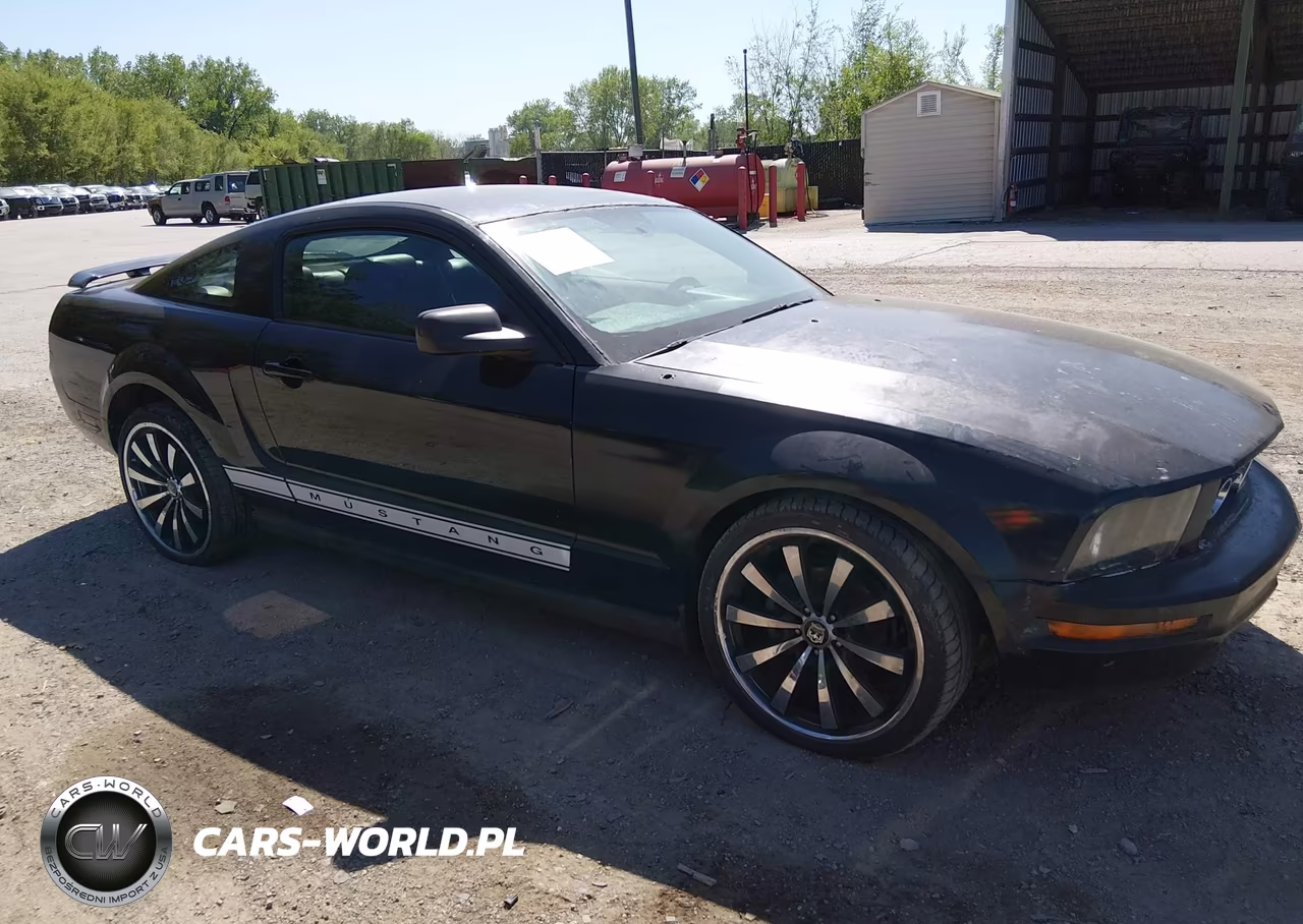 2006 Ford Mustang V6 VIN:1ZVFT80N465154618 - 6
