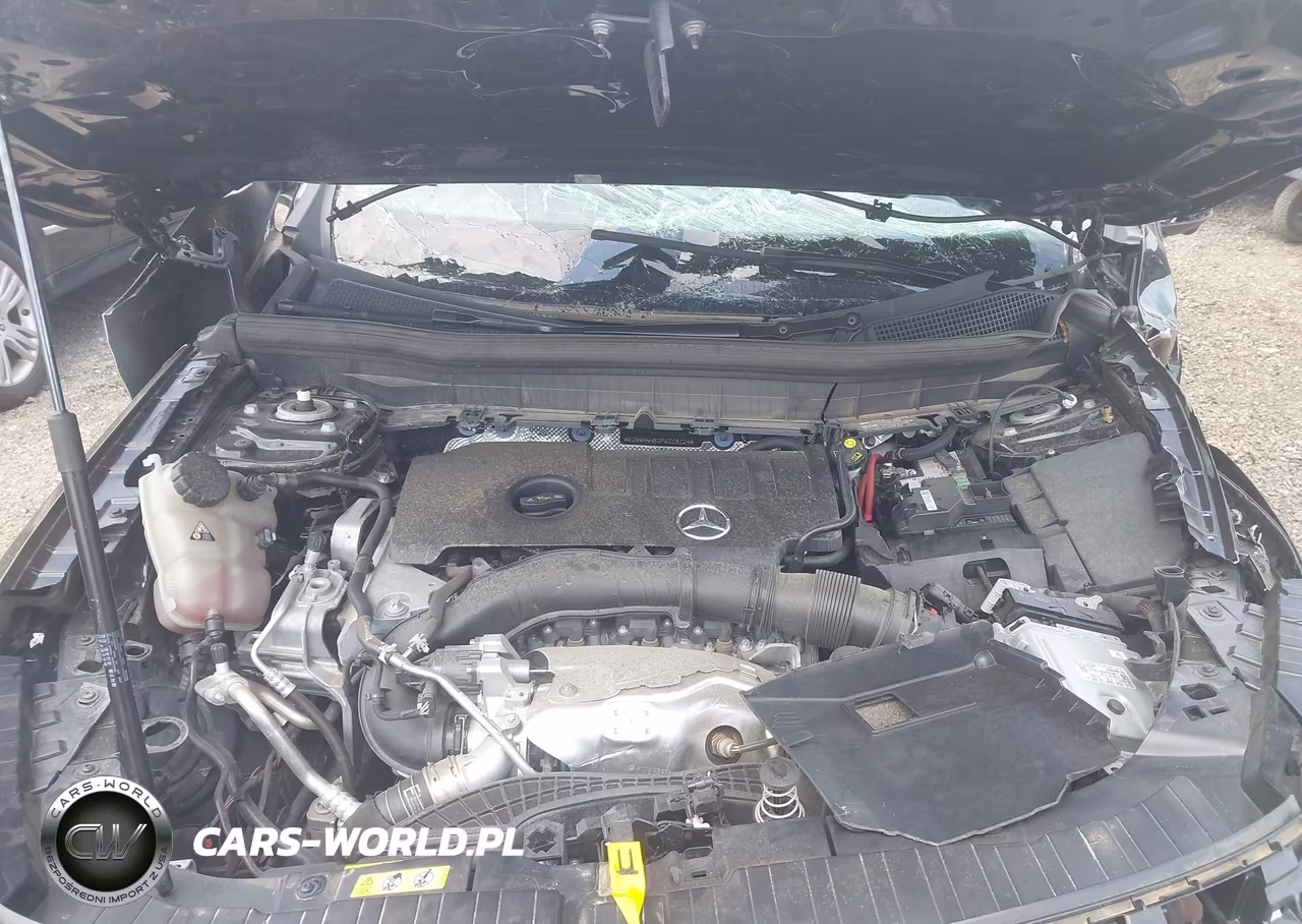 2023 Mercedes-Benz Glb 250 4Matic VIN:W1N4M4HB2PW318124 - 10