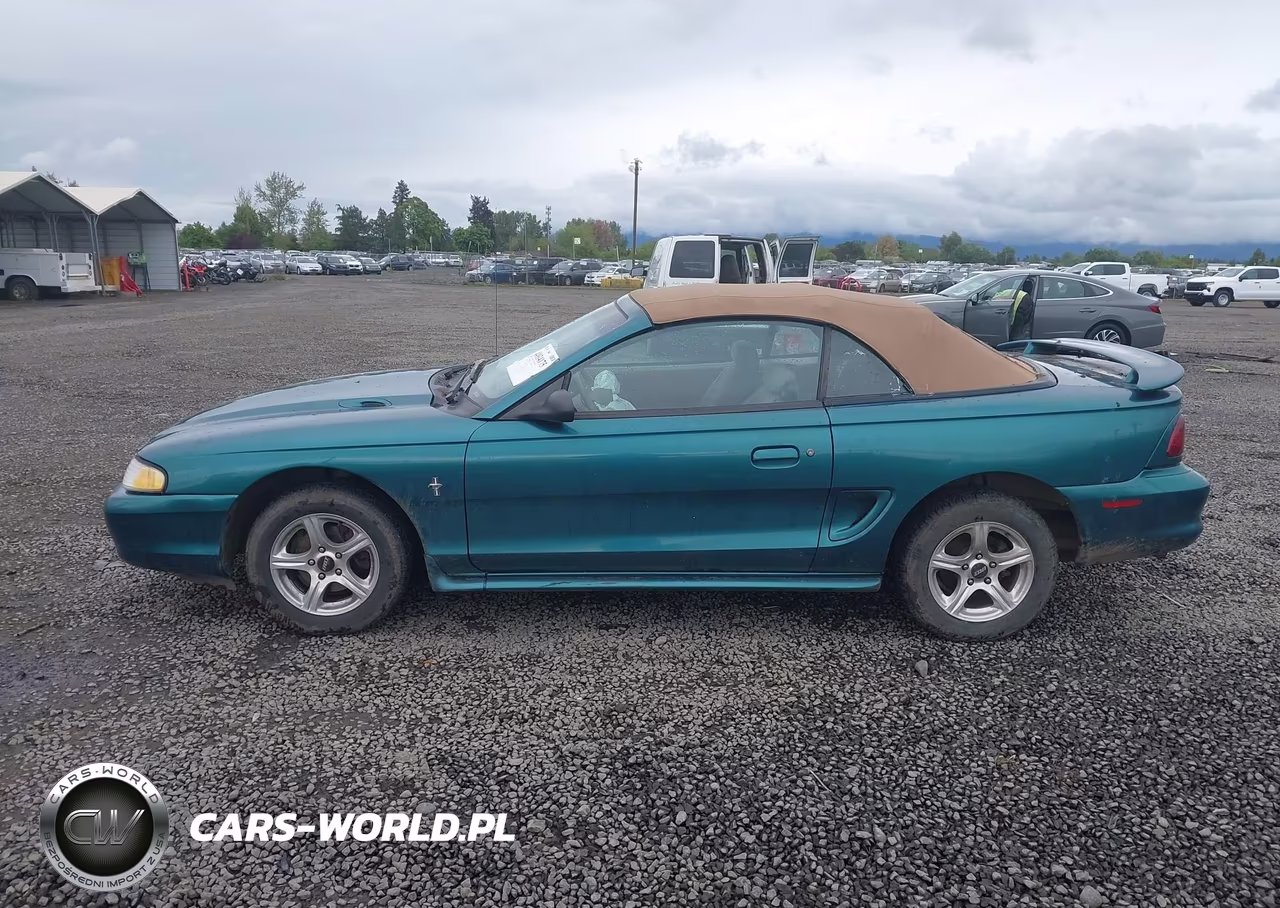 1997 Ford Mustang VIN:1FALP4448VF115159 - 15