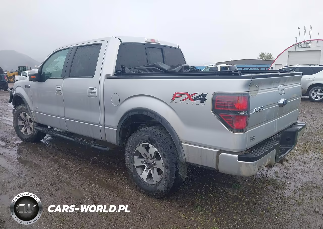 2014 Ford F-150 Fx4 VIN:1FTFW1ET4EKD39843 - 3